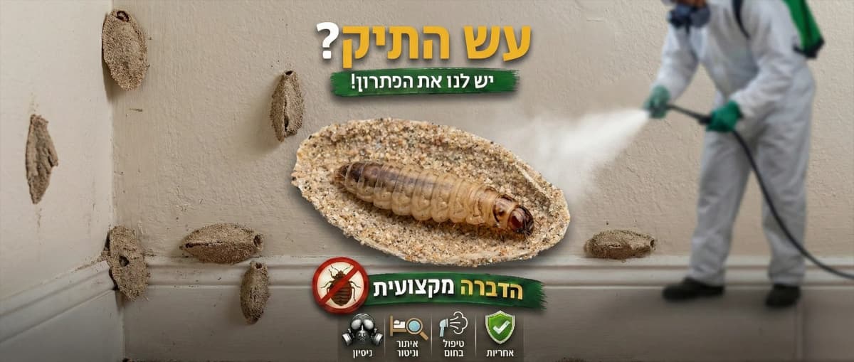 זיהוי הדברת עש (מזון ובגדים) ברמת גן - תמונה להמחשה