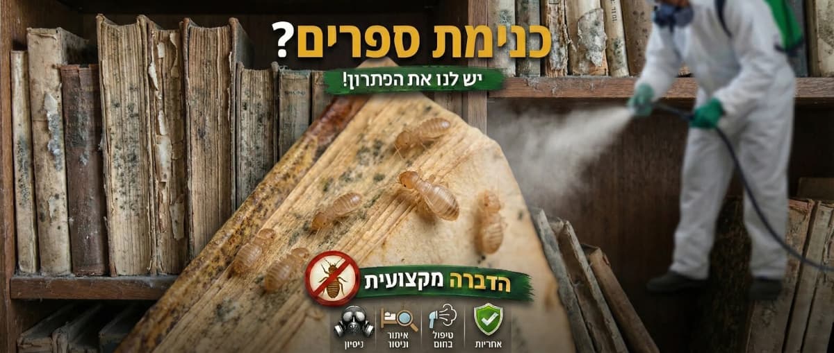 זיהוי הדברת פסוקאים (חרקי עובש) בלוד - תמונה להמחשה