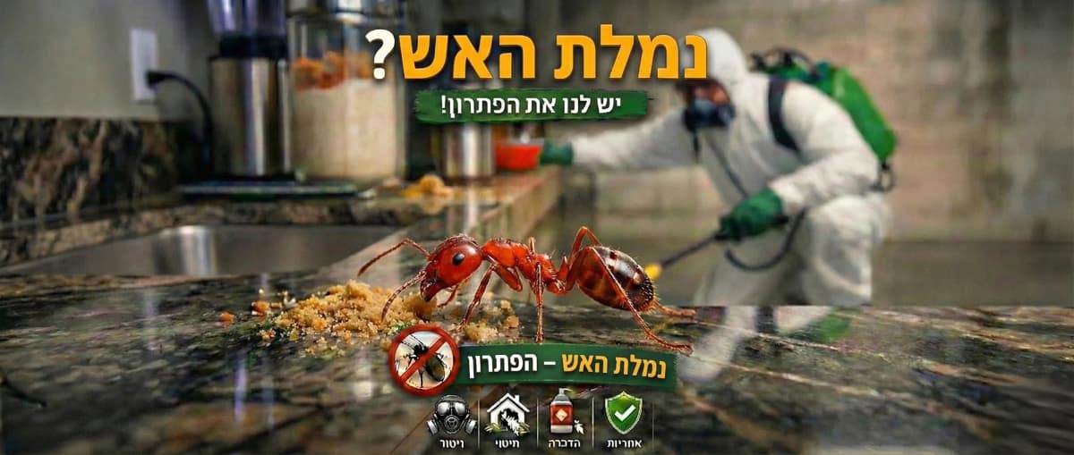 זיהוי נמלי אש בראשון לציון - תמונה להמחשה