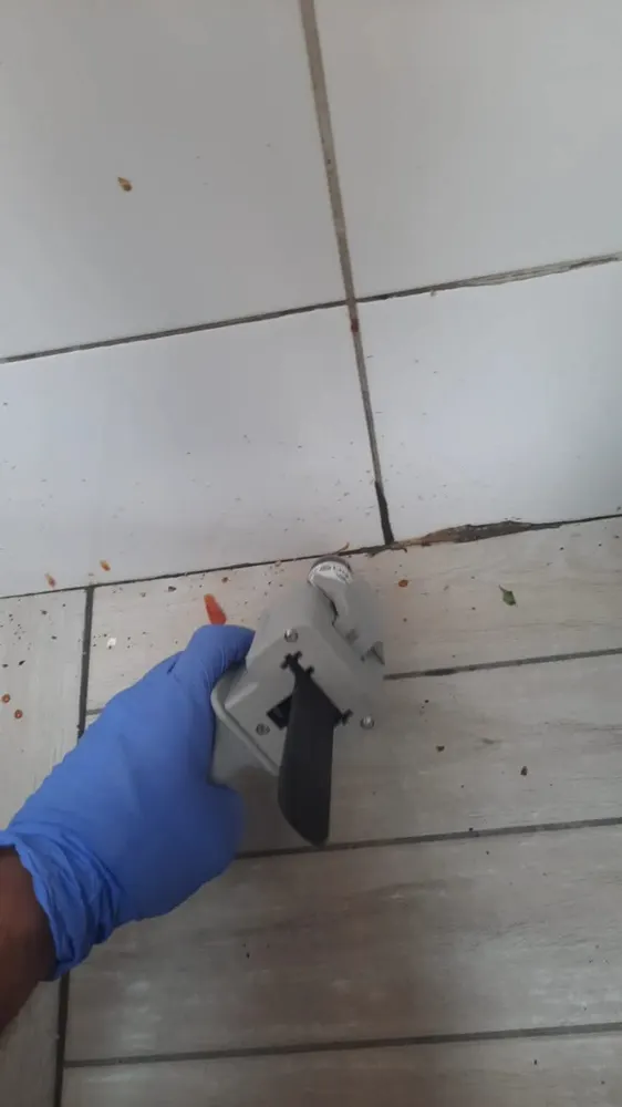 תיקן גרמני — טיפול ג'ל נקודתי בחריצים ובמישקים — נקודות המסתור המועדפות על התיקן הגרמני (צילום מעבודה שלנו)