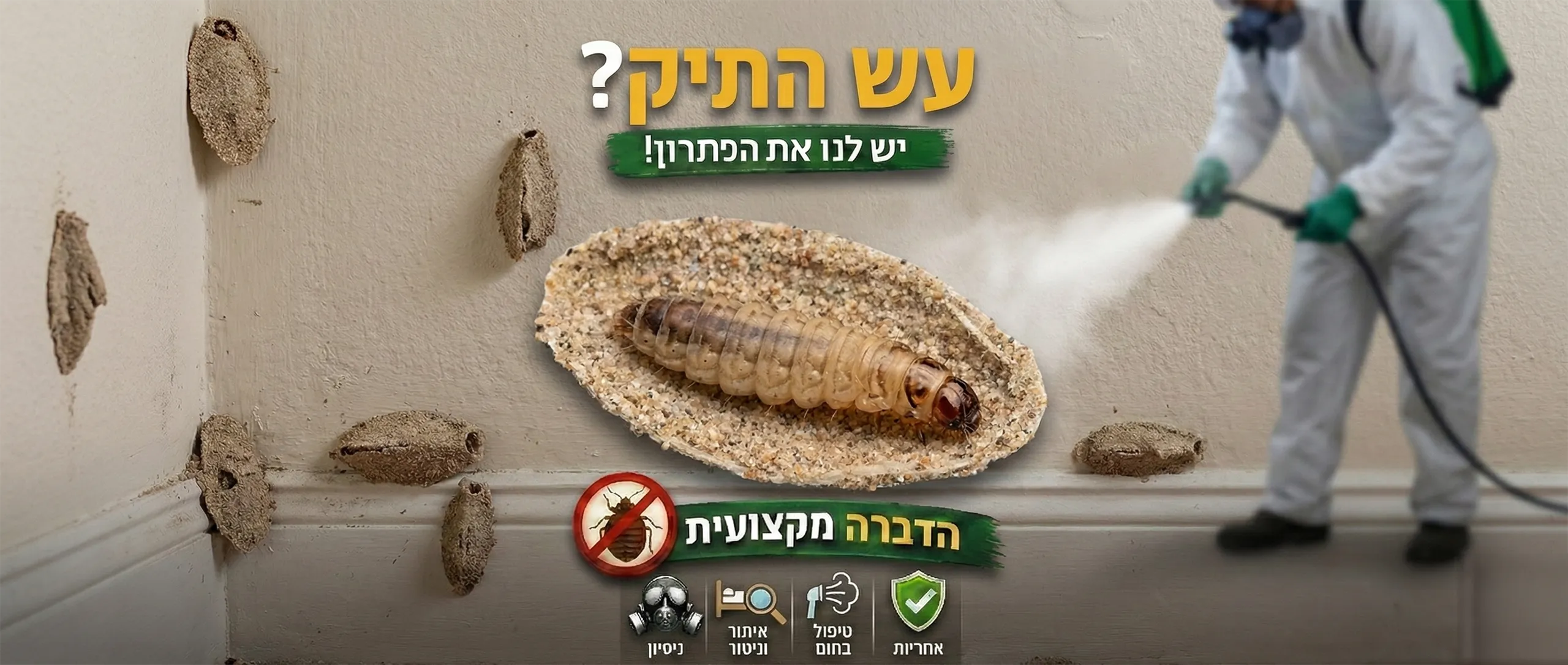 עש הטיח (תולעים בתקרה)