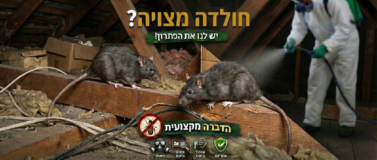 זיהוי לוכד חולדות בחולון - תמונה להמחשה