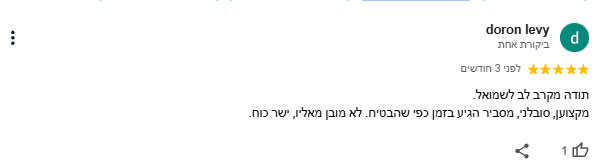 ביקורת 1