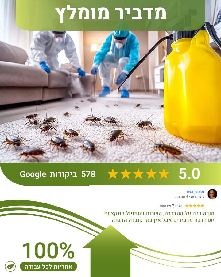 איך יודעים שיש עכבר בבית