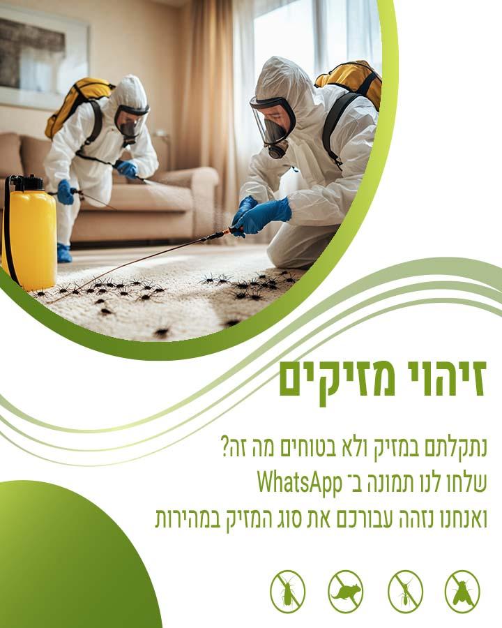 איך להיפטר מג'וקים בבית