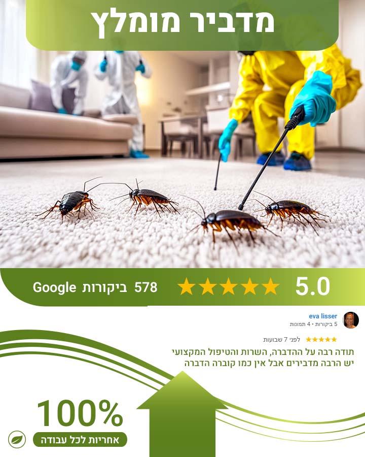 איך להיפטר מג'וקים בבית