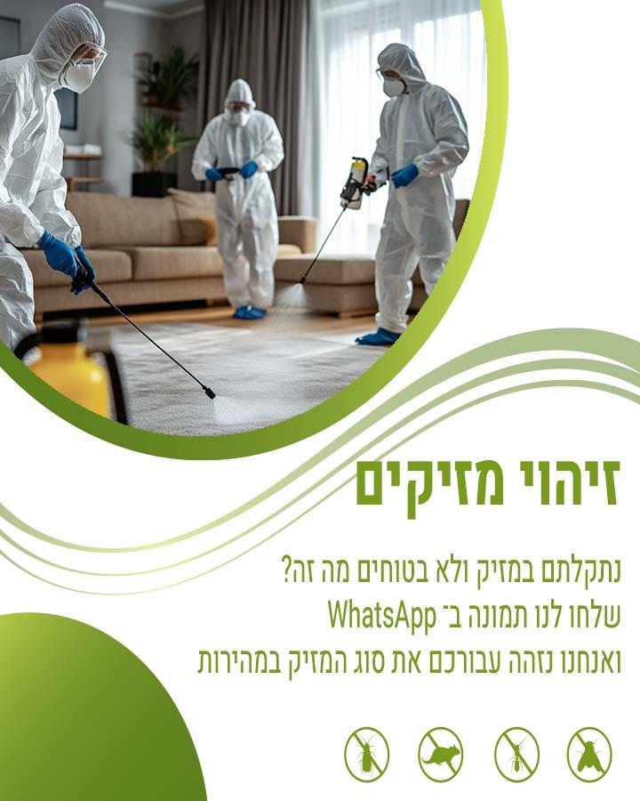 איך להרחיק ברחשים