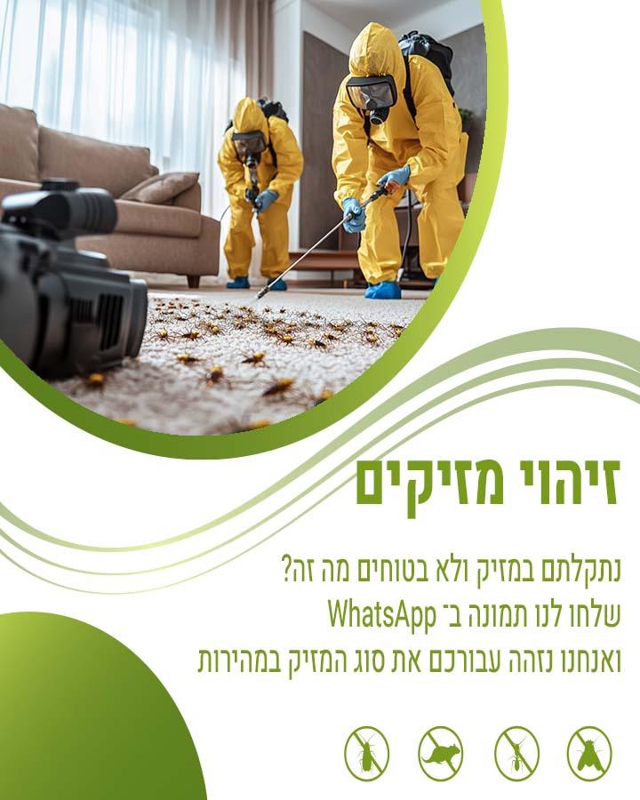 איך להרחיק עכברים