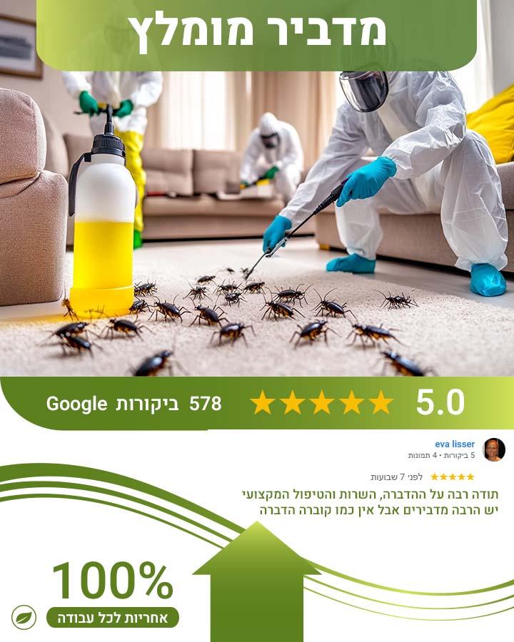 איך מזהים טרמיטים בבית