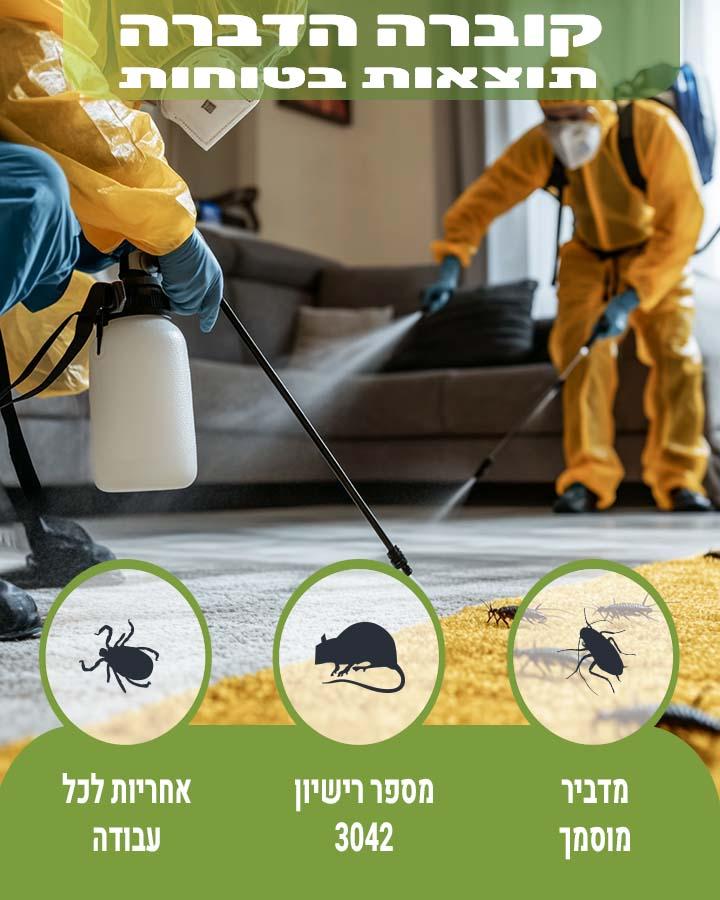 איך מזהים טרמיטים בבית