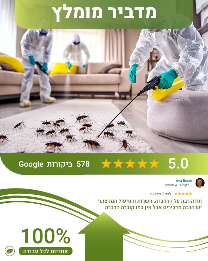 איך נראה קן צרעות