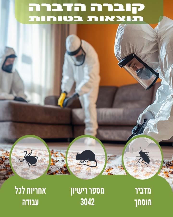 איך נראה קן צרעות