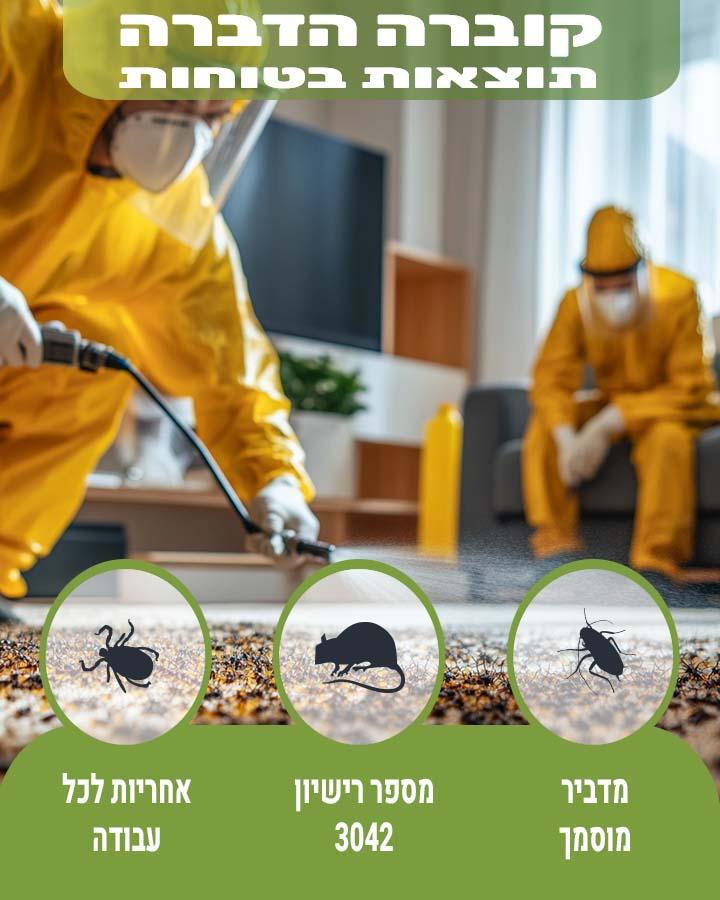 איך נראים טרמיטים