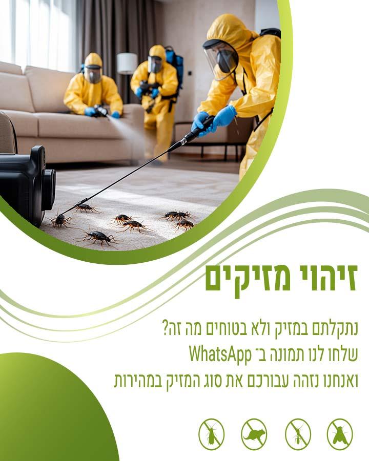 איתור טרמיטים