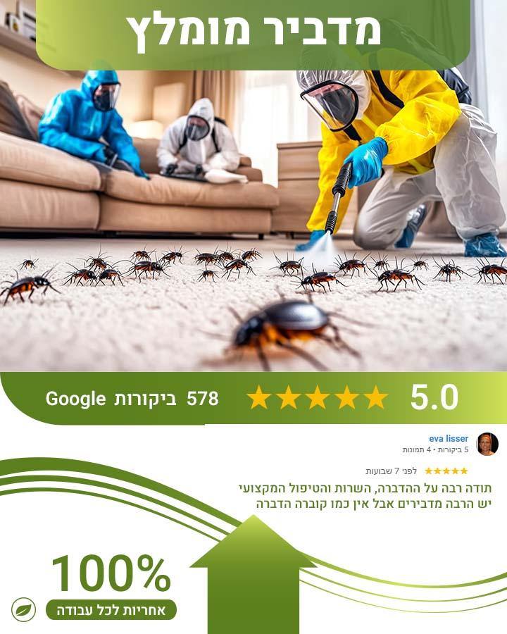 איתור טרמיטים