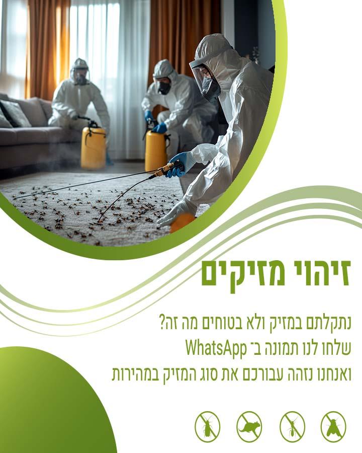 ג'וקים בתמי 4
