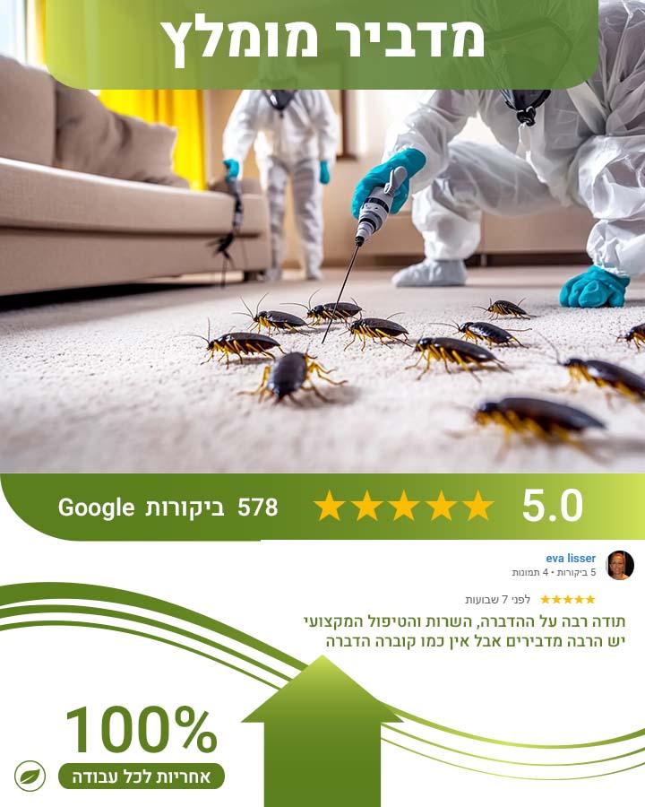 ג'וקים בתמי 4