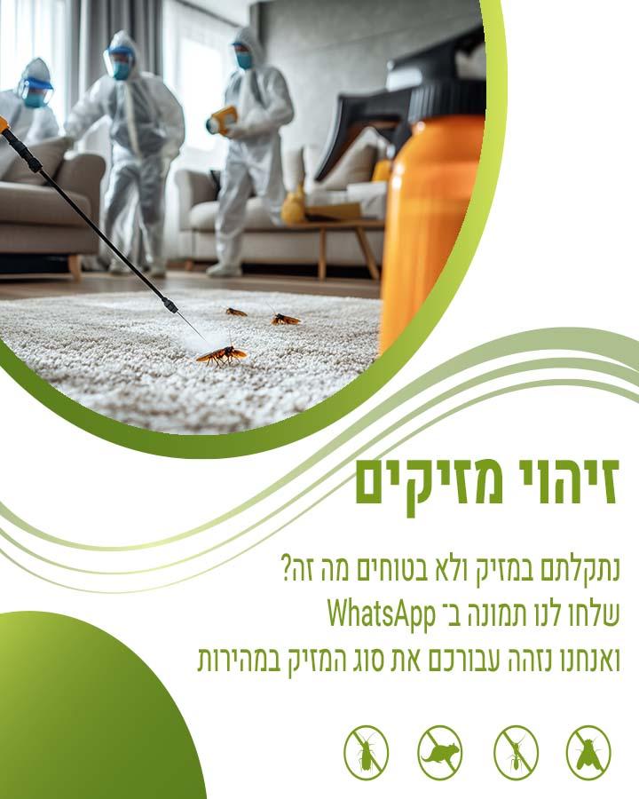 דג הכסף