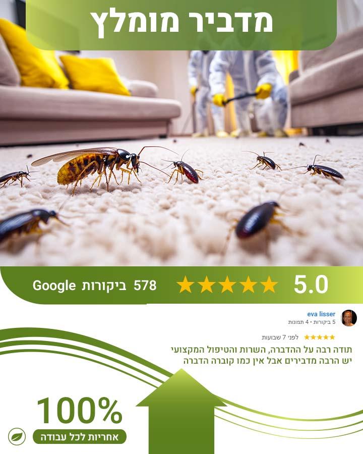 האם עכברים חוזרים