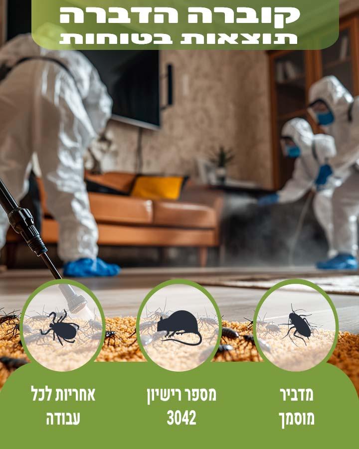 האם עכברים חוזרים