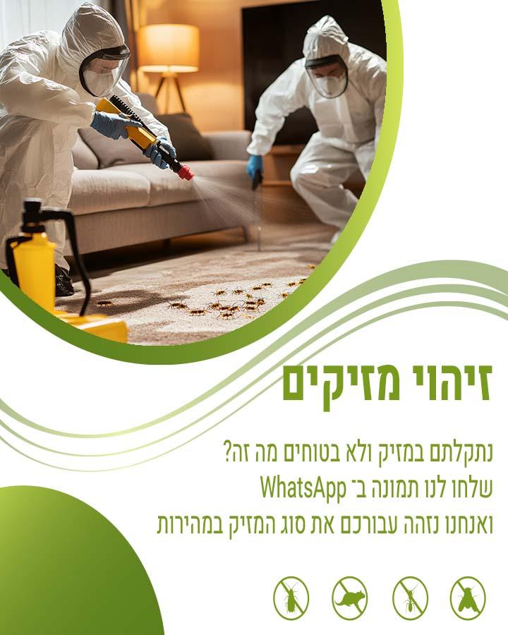 הדברה אורגנית
