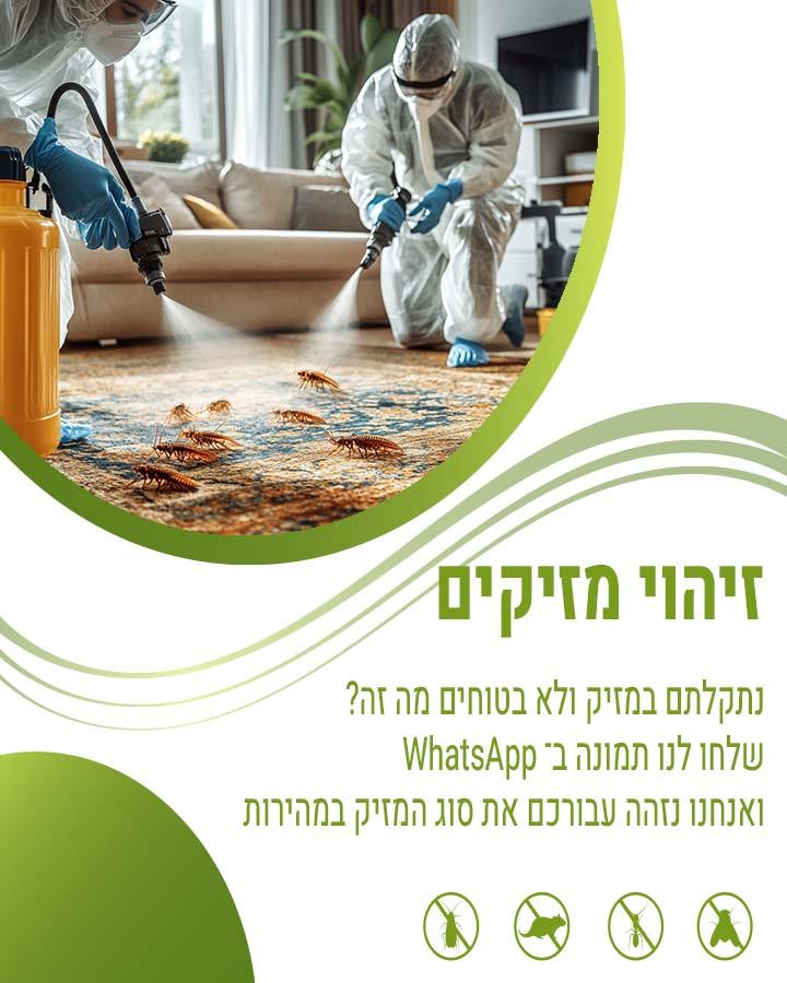 הדברה באופקים