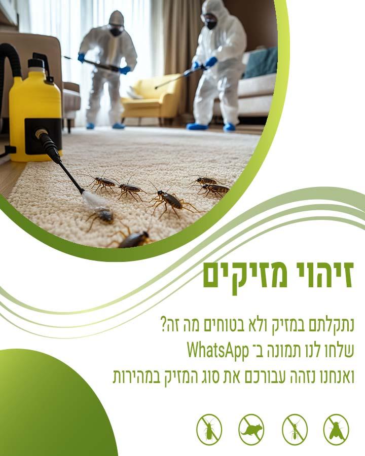 הדברה באור עקיבא