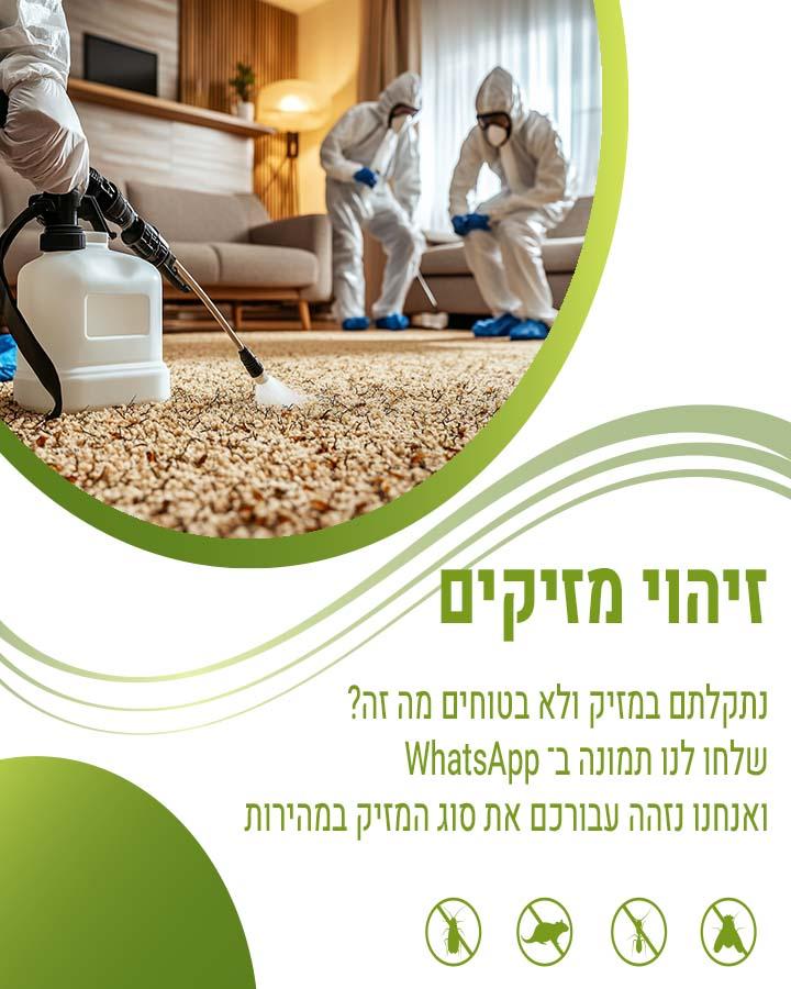 הדברה באילת