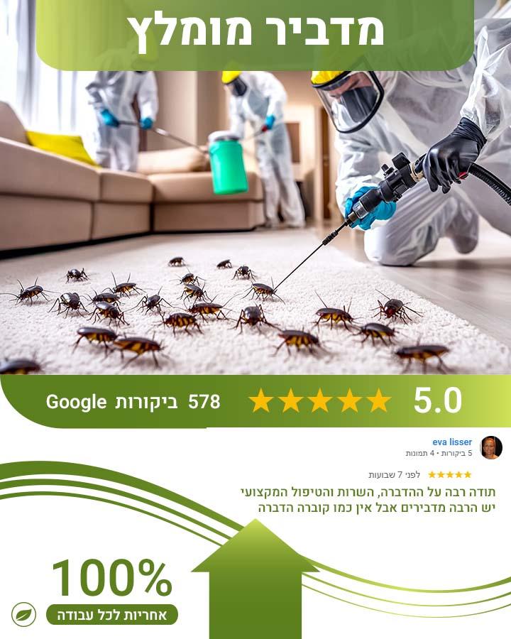 הדברה באילת