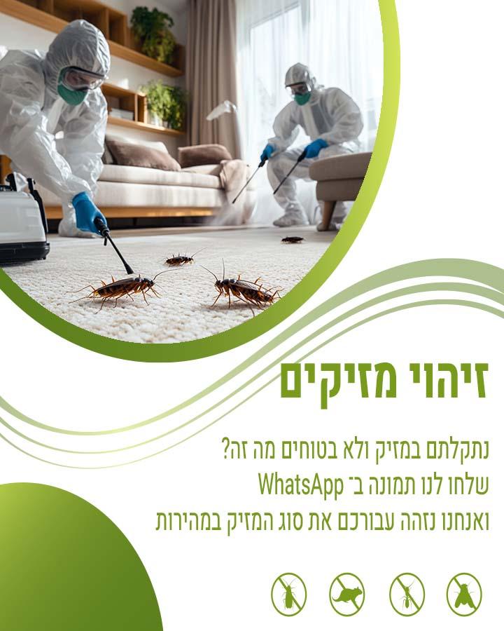 הדברה באלעד