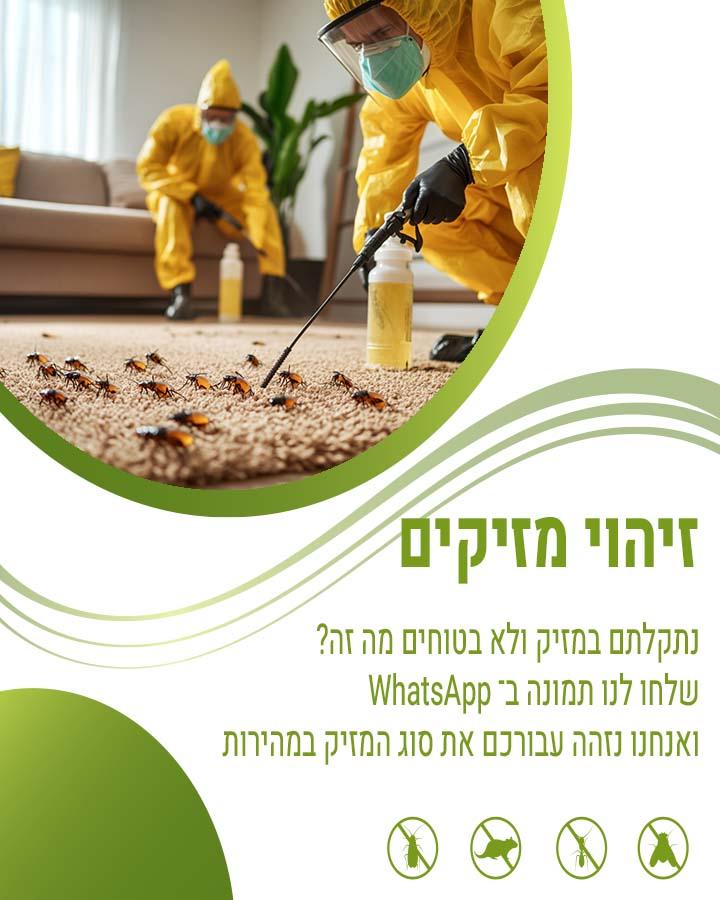 הדברה באשדוד