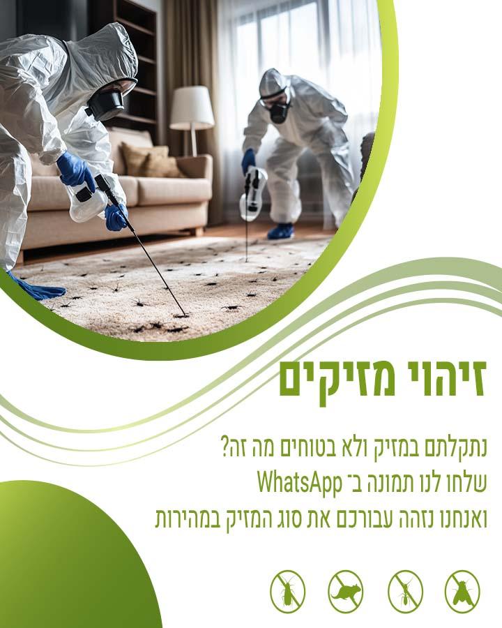 הדברה באשקלון