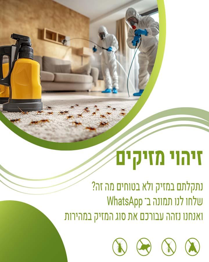 הדברה בבית אבות