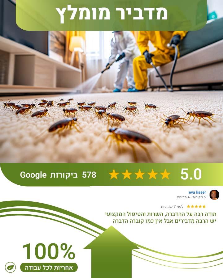 הדברה בבית עם בעלי חיים