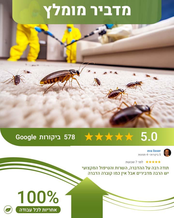 הדברה בבית שמש