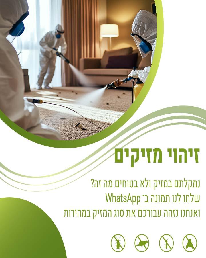 הדברה בביתר עילית