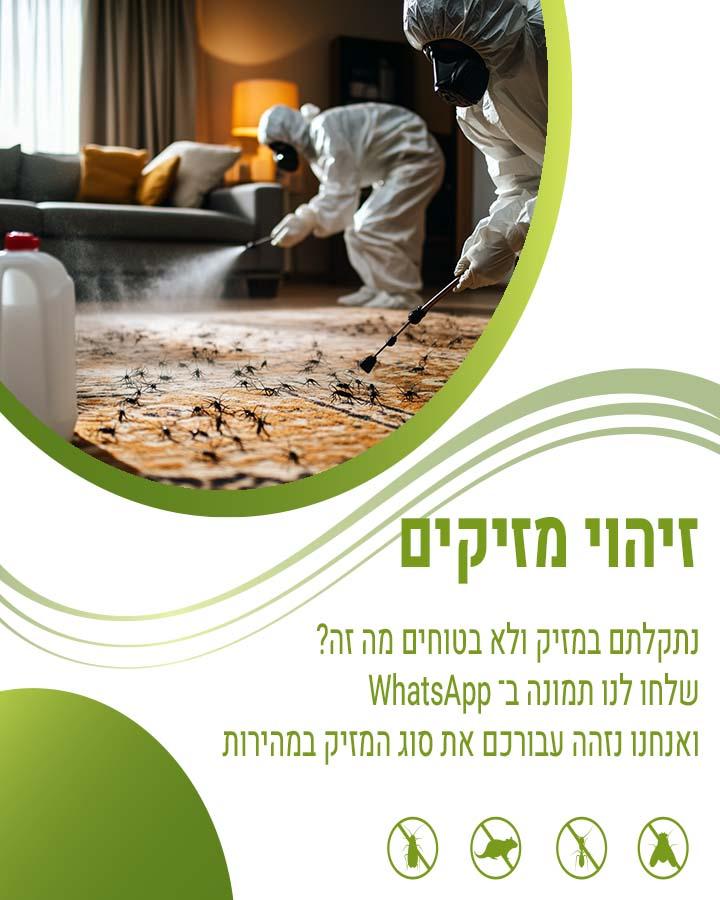 הדברה בבת ים