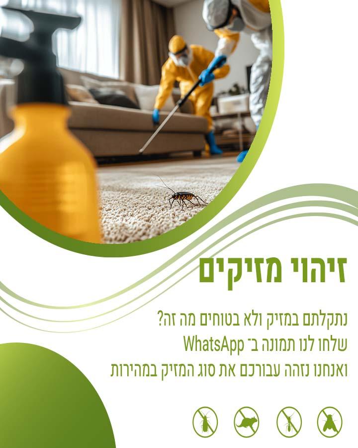 הדברה בגבעתיים