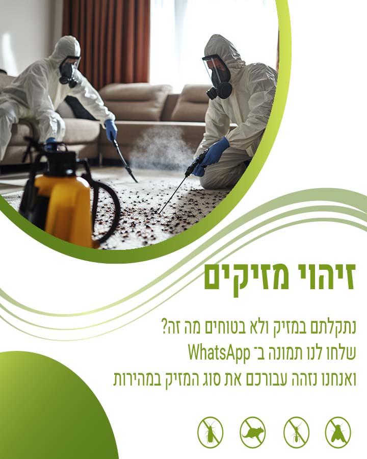הדברה בגג