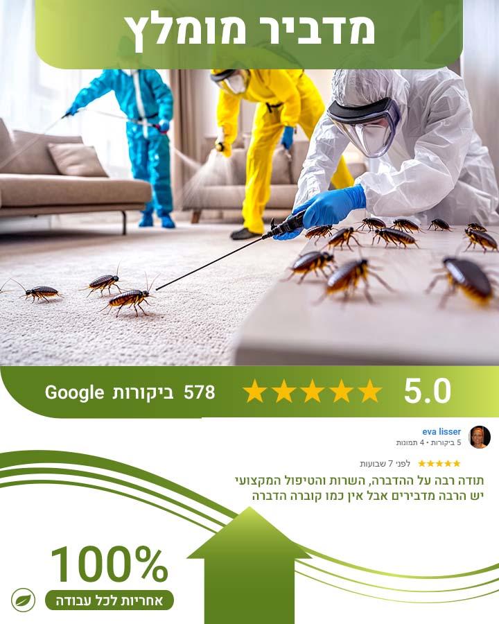 הדברה בגג