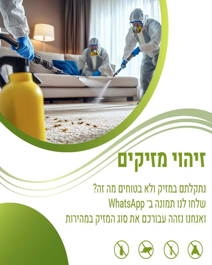 הדברה בג'ל