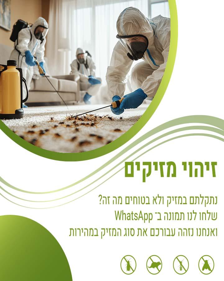 הדברה בגליל