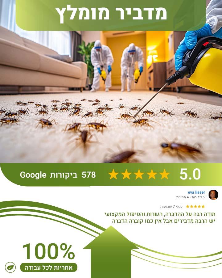 הדברה בדימונה