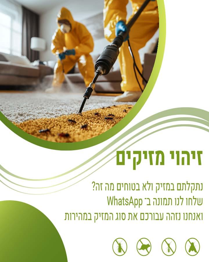 הדברה בהרצליה