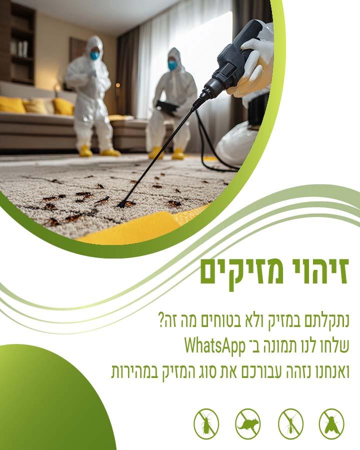 הדברה בחורף