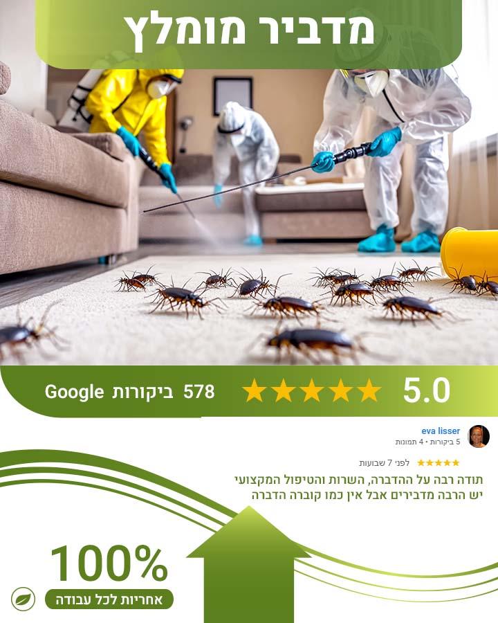 הדברה בחורף