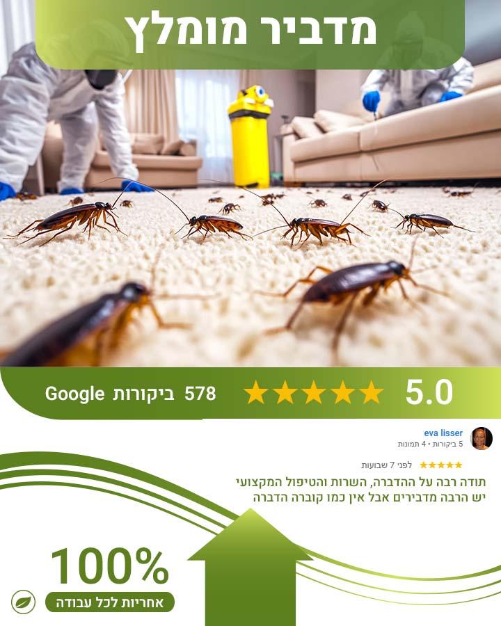 הדברה בחיפה