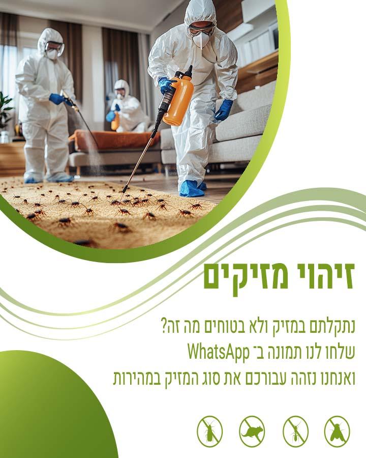 הדברה ביבנה