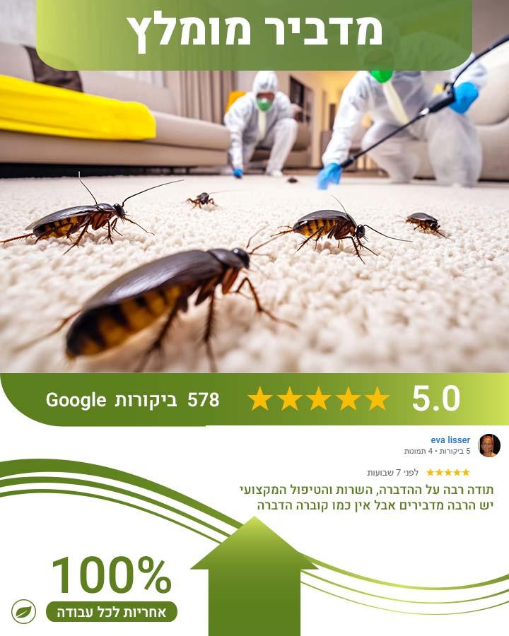 הדברה ביבנה