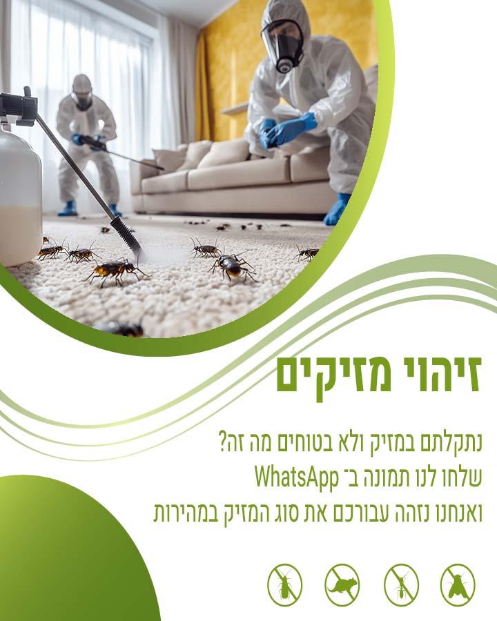 הדברה ביהוד